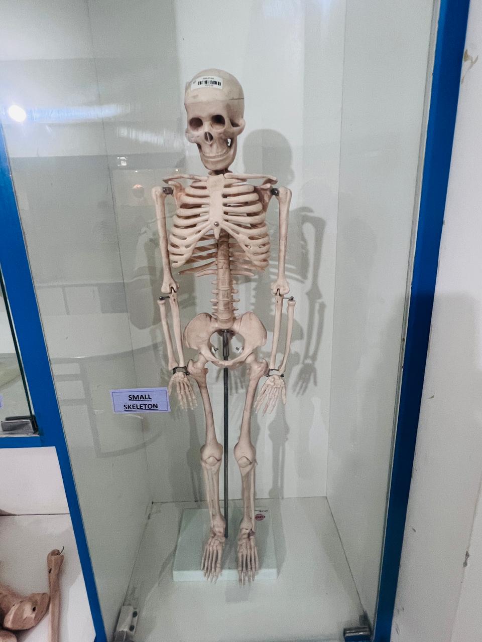 Anatomy Lab