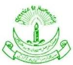 Sindh Nurses Examination Board